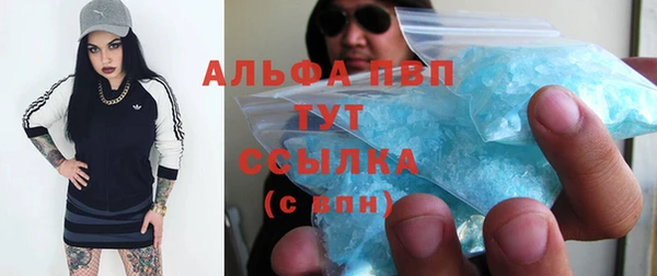 прущие крисы Верея