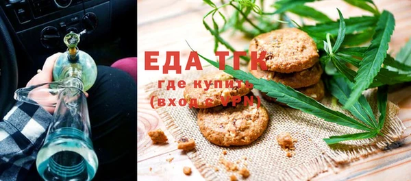 тгк Бородино